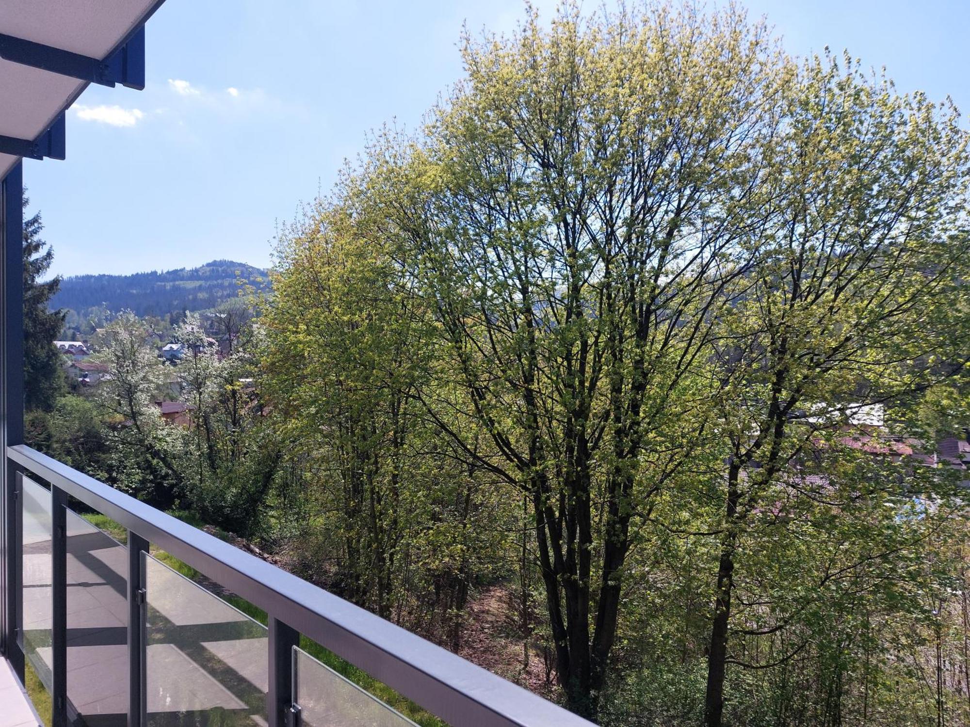 Hotel Jarzębata Wisla Ruang foto