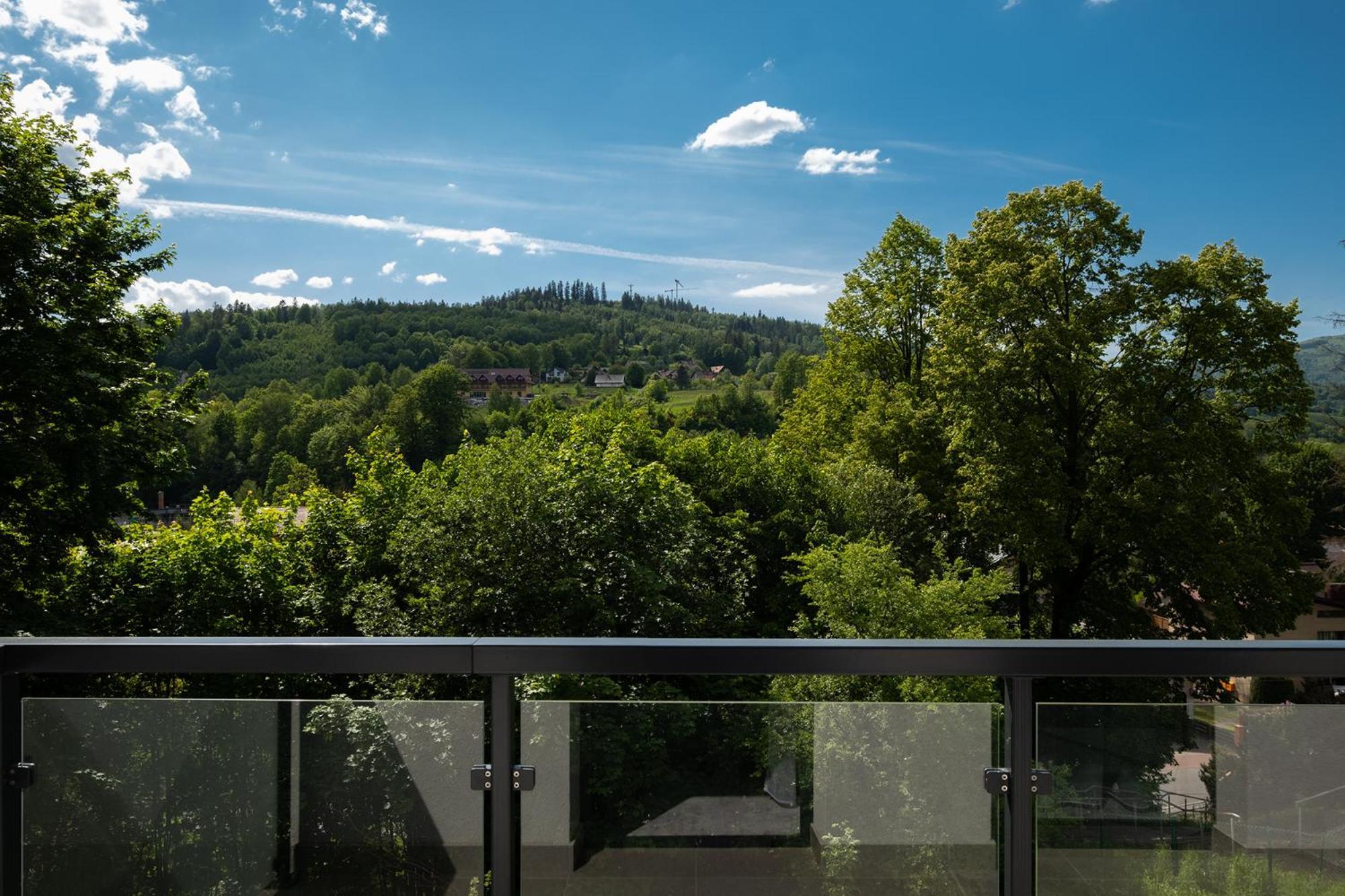 Hotel Jarzębata Wisla Bagian luar foto
